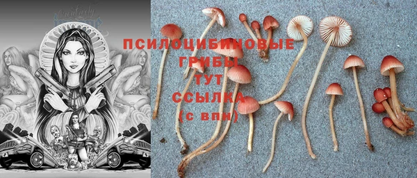 герыч Волоколамск